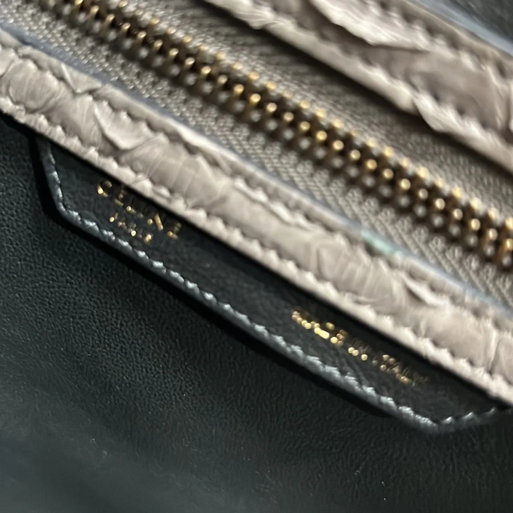 Celine Bag, Size Medium, Python Skin - Picture 8 of 13